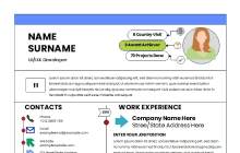 Infographic Resume CV Template