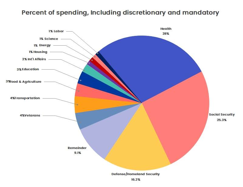 A pie chart showing how much money they spent on online games