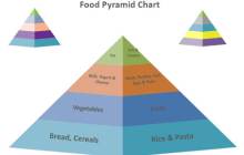 Diagram of Food Pyramid