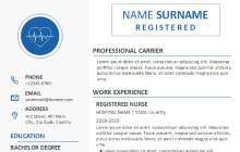 Nurse Resume Example