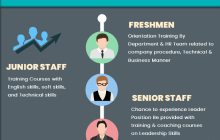 Infografik zum Karriereplan