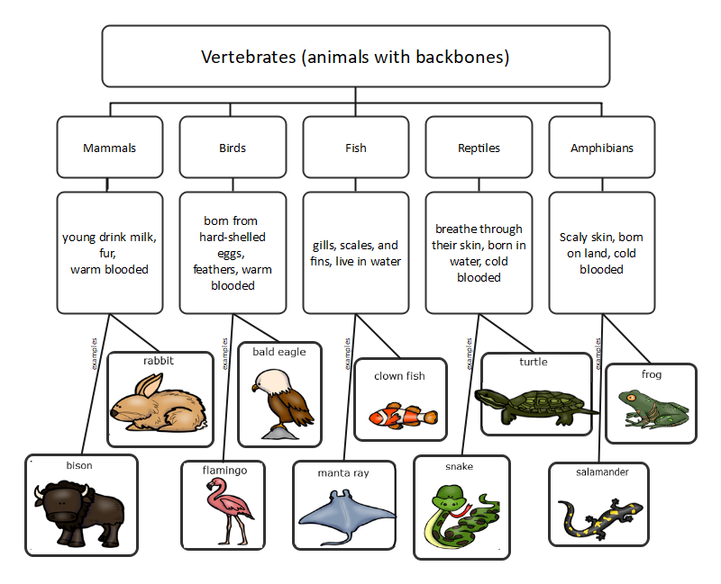 Semantic Map for A Teaching Strategy