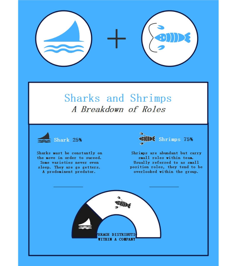 Shark Infographic