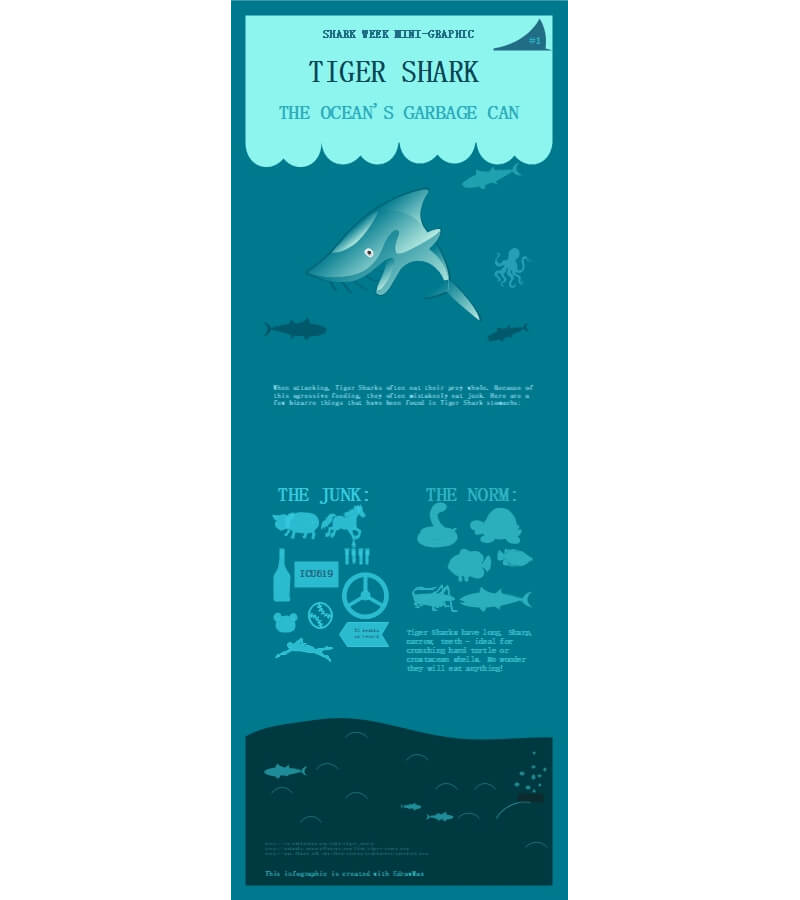 Tiger Shark Infographic