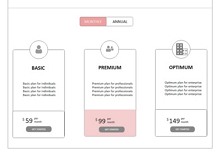 Pricing Page Website Wireframe
