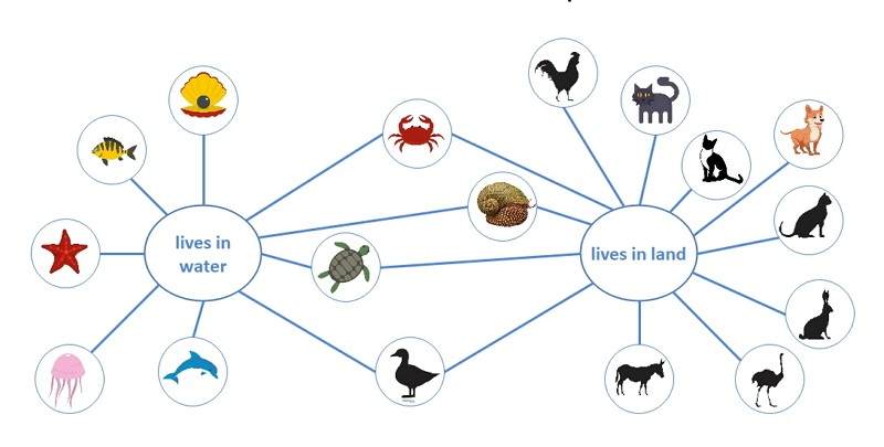 How To Make A Bubble Map On Google Slides