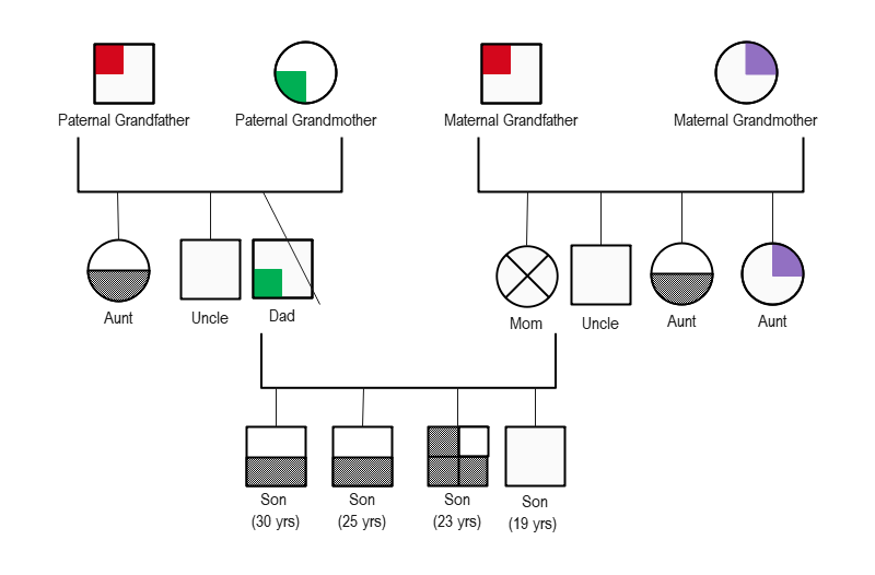 How to Make A Genogram in PowerPoint EdrawMax Online