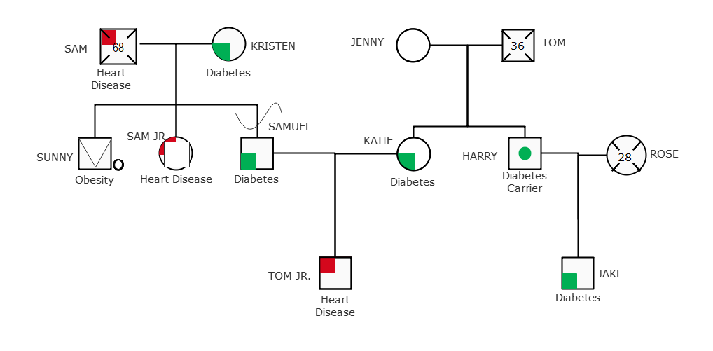 how-to-make-a-genogram-in-powerpoint-edrawmax-online