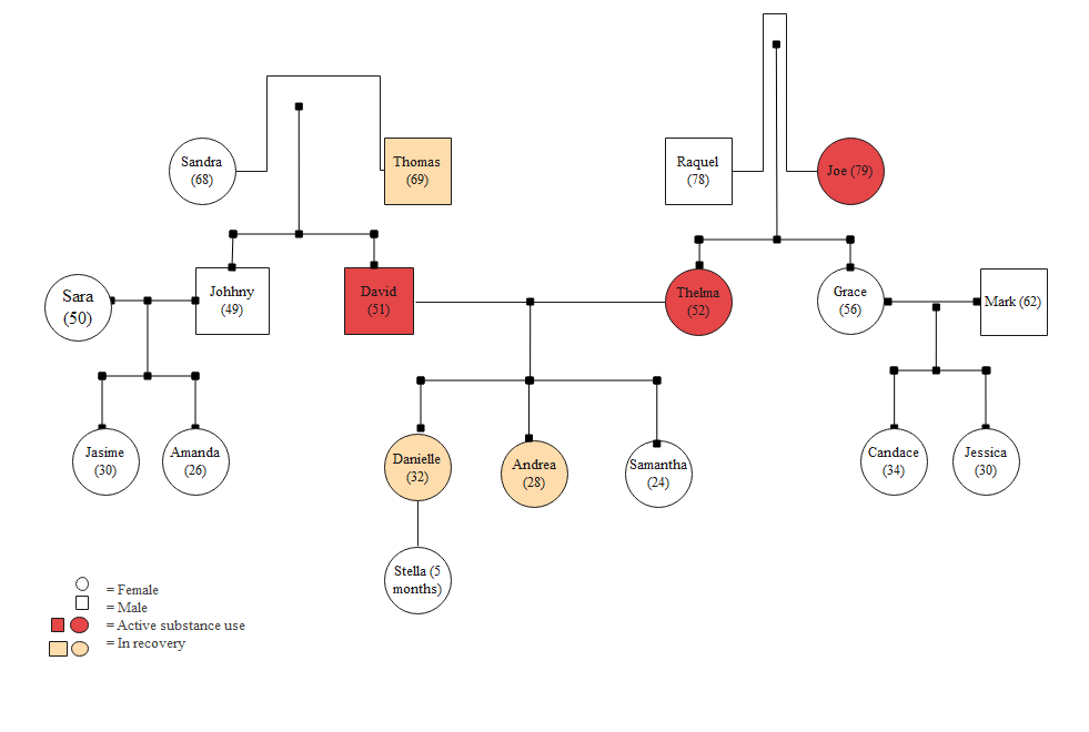 The Genogram Excel Template