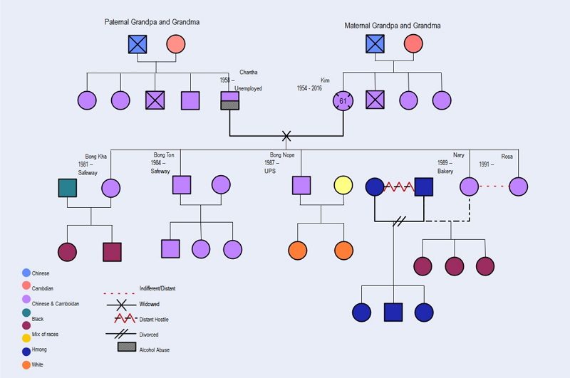 Modèles de génogramme Word