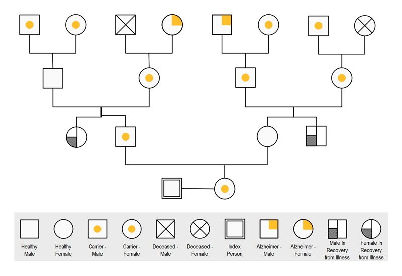 genogram on word social work