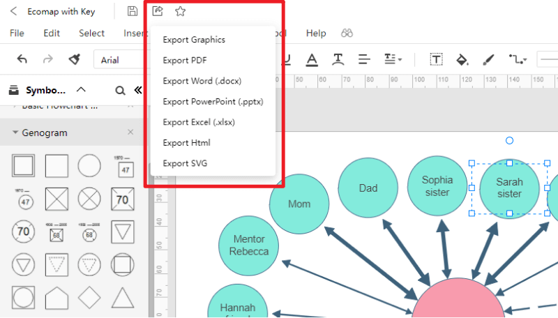 How to Make an Ecomap - Save and Export Ecomap