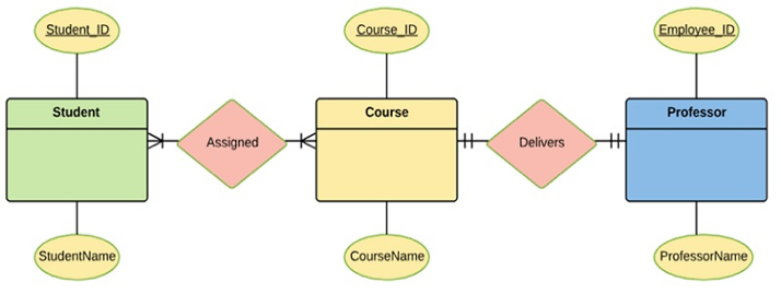 entity relationship diagram