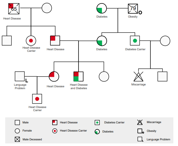 genogram examples 3 generations