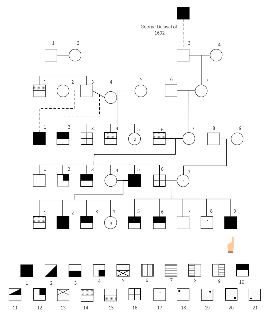 Pedigree Chart