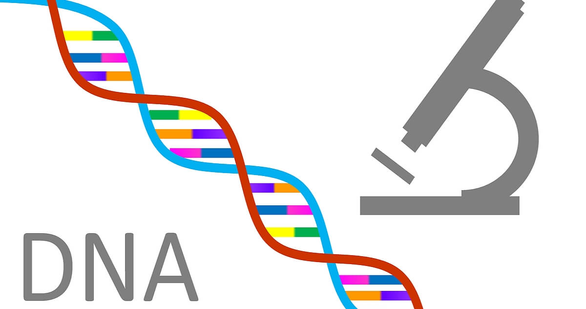 genogram creator for mac