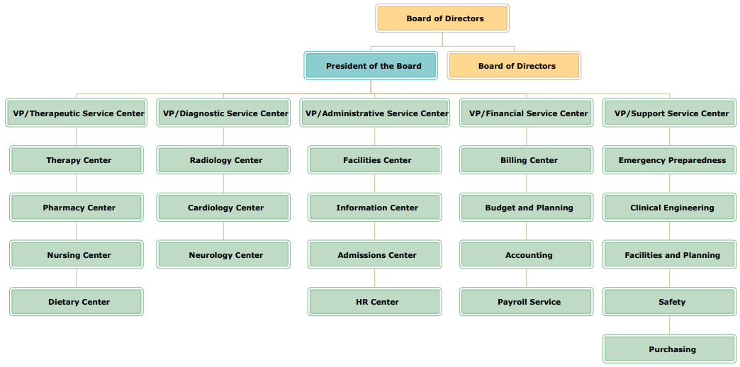 hospital organizational chart