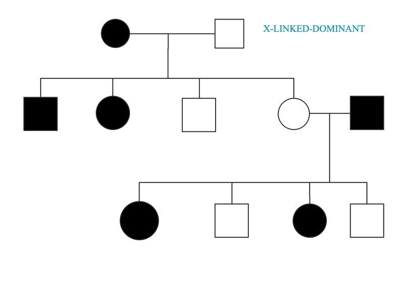 X linked dominant disorder