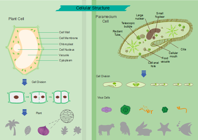 生物学图