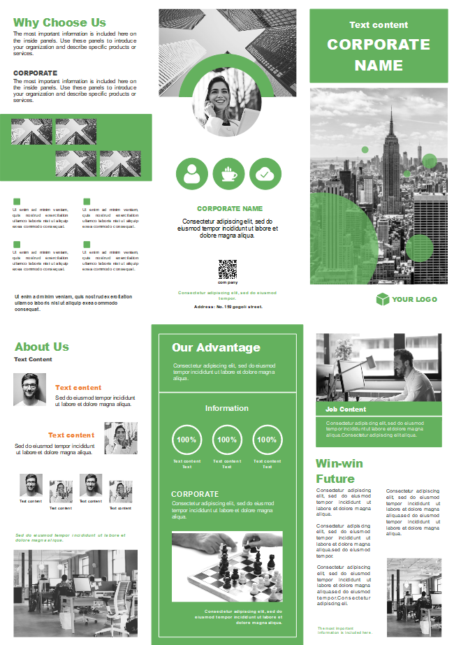 Company Vision Brochure