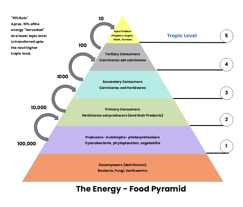 Energy Pyramid Diagram Symbols