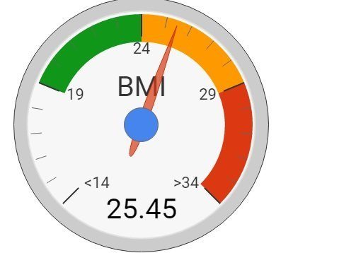 简单的BMI.