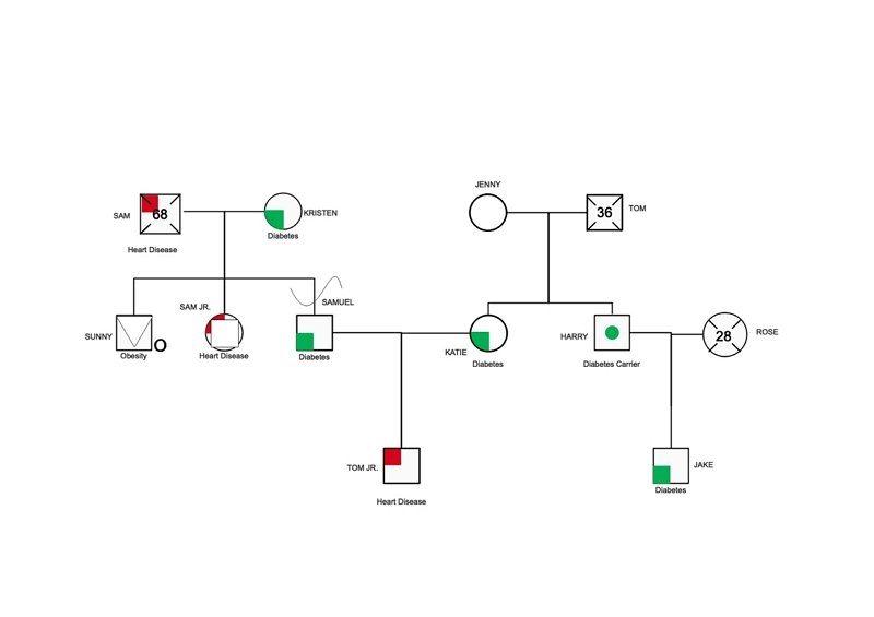 Genogram示例02.