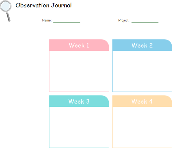 Observation Chart