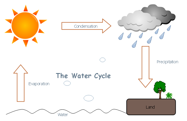 Simplificar y visualizar