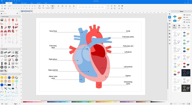 diagramme du cœur