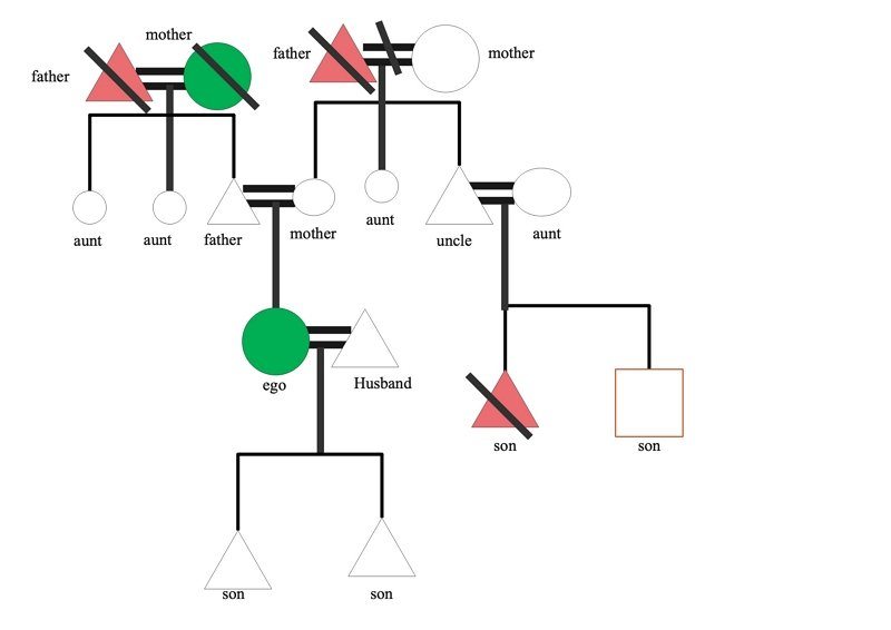 ejemplo 01 de gráfico de parentesco