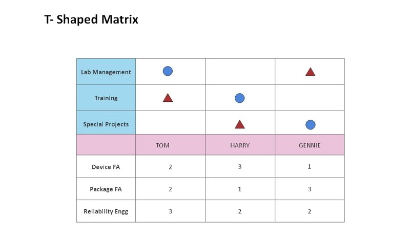 l shaped matrix diagram