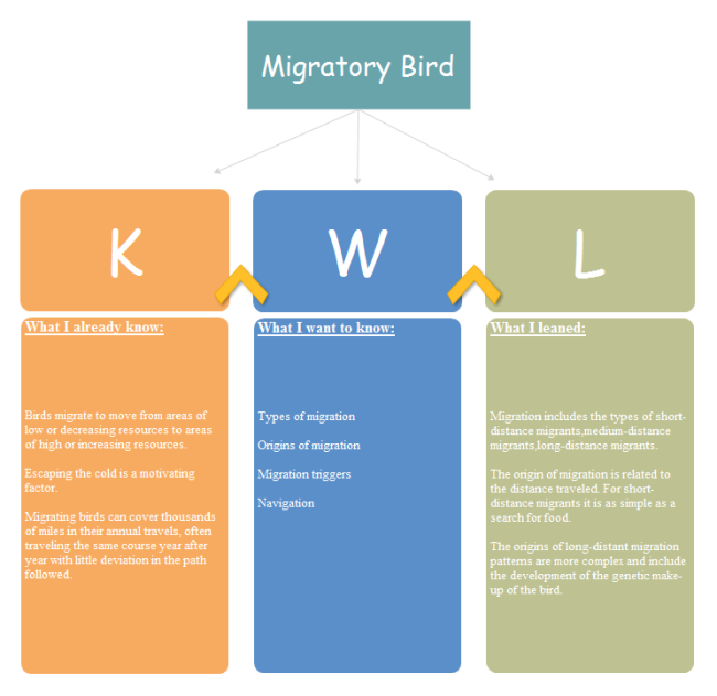 Sequence Chart Graphic Organizer