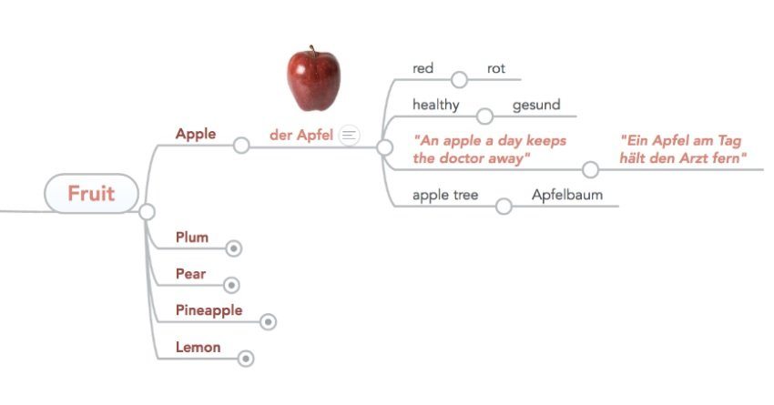 mind map learn language