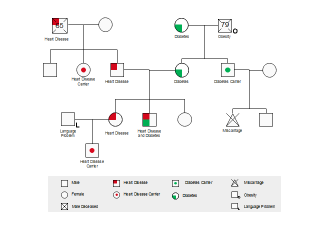 organizational chart example