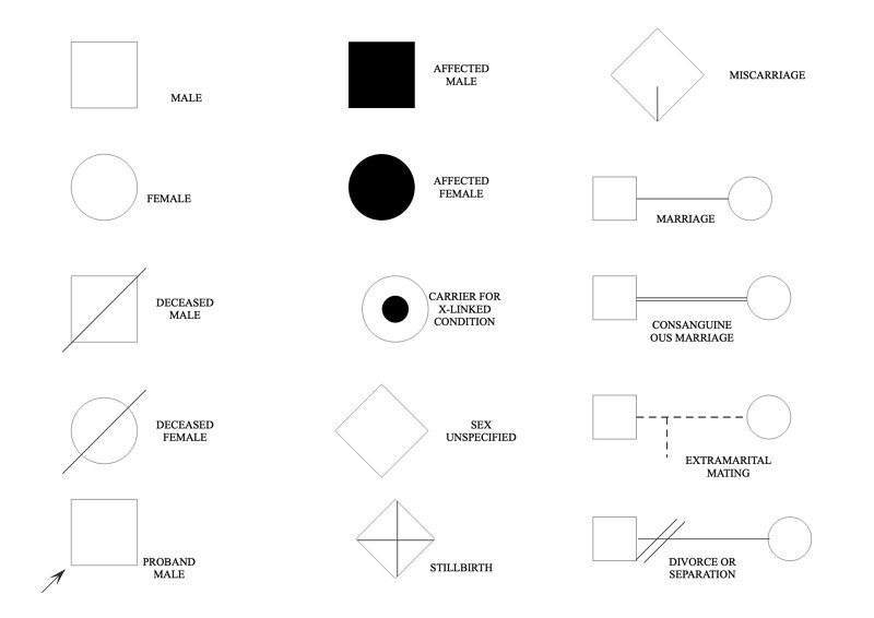 símbolos del gráfico genealógico