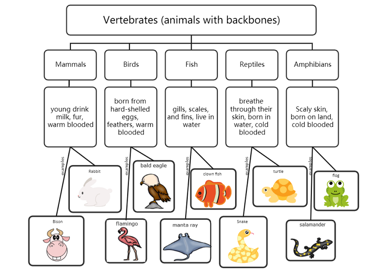 Example of Semantic Mapping