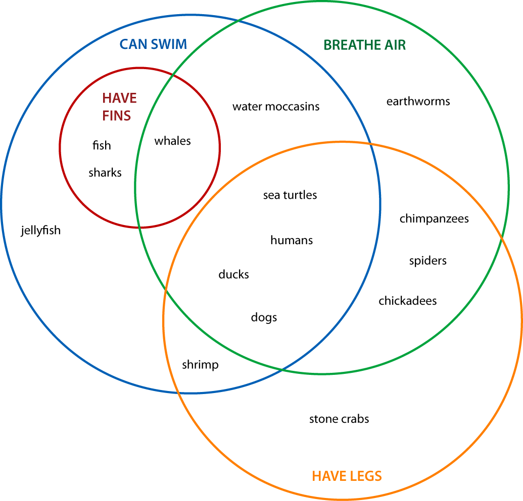 What is A Venn Diagram with Examples  EdrawMax Online