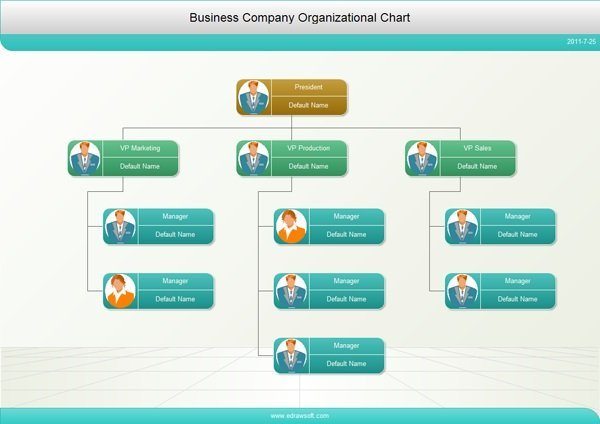 Estée Lauder's Organizational Structure [Interactive Chart] Organimi