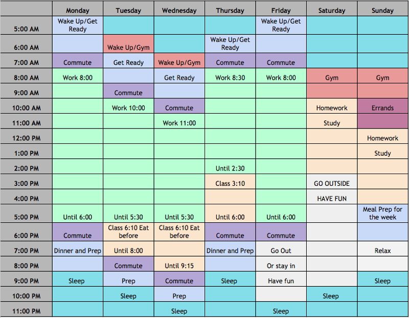 6 week work schedule template