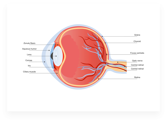 Science Diagram Maker Scientific Drawing Software Edraw