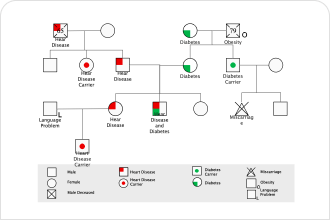 Medical Gengoram Example