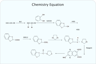 Diagramma dell'equazione chimica