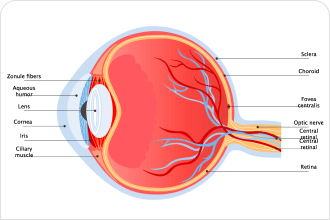 Diagramma dell'occhio