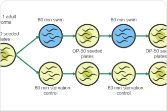 Expanded Circular Flow Diagram