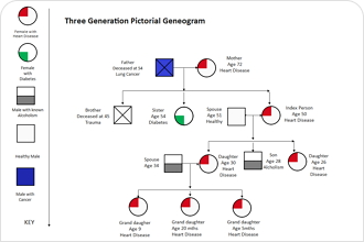 genogram maker free without watermark