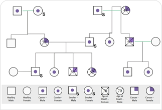 Free Online Genogram Maker | EdrawMax Online