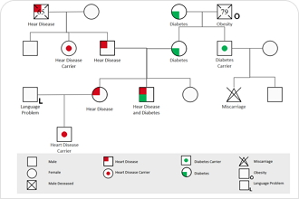 genogram maker free without watermark