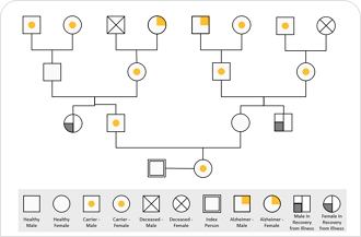 edrawmax online genogram