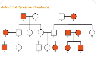 free online genogram maker for mac